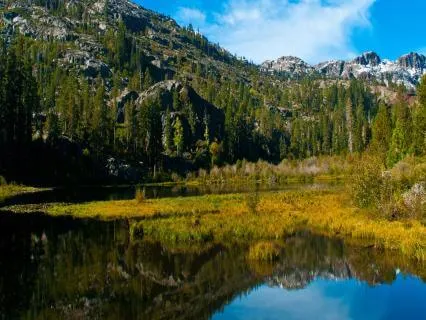 Meditation For Remembering Your Truth