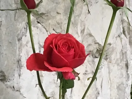 Reminiscing Into Happiness