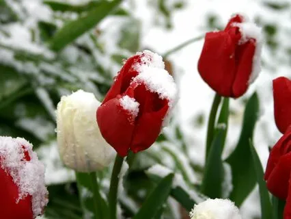 Meditation For Renewal And Growth