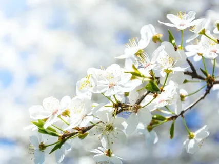 Meditation For Renewal In The Infinite Field