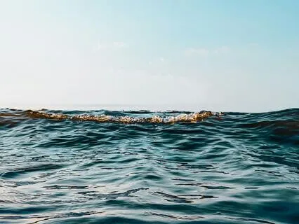 Meditation For Reset, Renewal, And New (Year) Beginnings