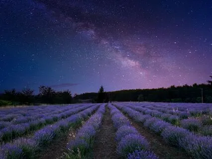 Meditation For Rest, Relaxation, Sleep & Inner Peace