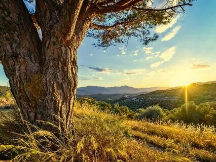 Meditation For Restoration And Hope