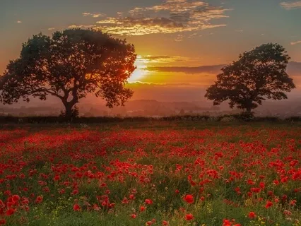 Cultivating Compassion For Yourself & Others