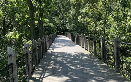 Meditation For Self Compassion