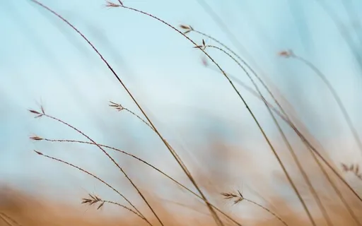 Meditation For Self-Compassion