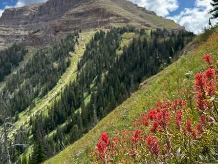 Meditation For Self Compassion