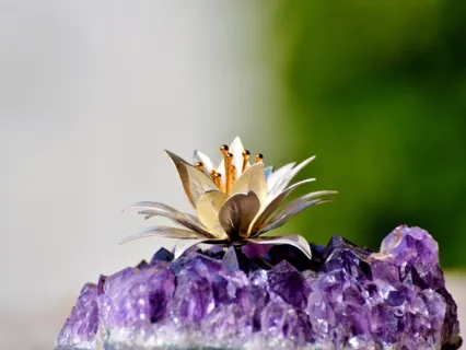 Build Self Confidence