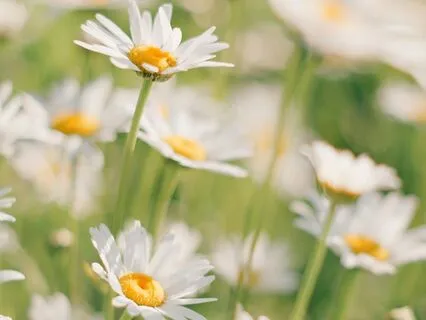 Meditation For Self Confidence