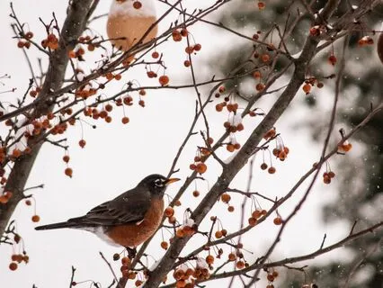 Meditation For Self-Doubt