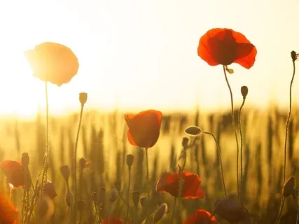 Practice For Self Healing