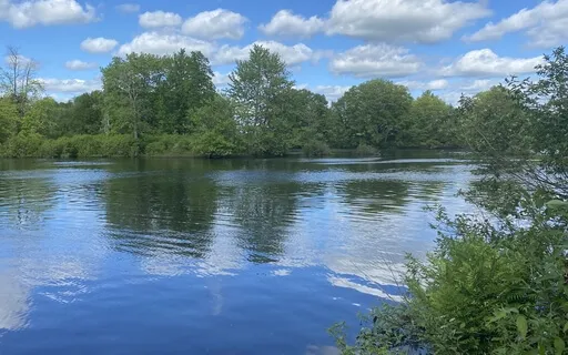 Meditation For Self-love