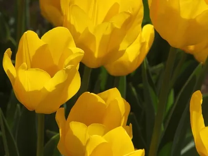 Meditation For Self-Love