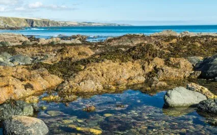 Meditation For Self-Love