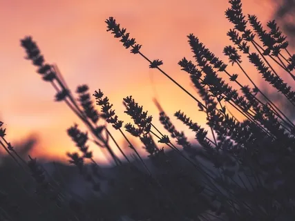 Exercise For Self Love