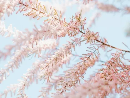 Meditation For Self Love And Compassion