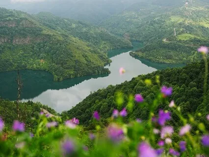 Meditation For Self-Love And Connection