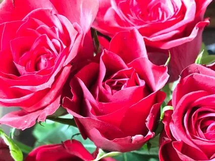 Meditation For Self Love