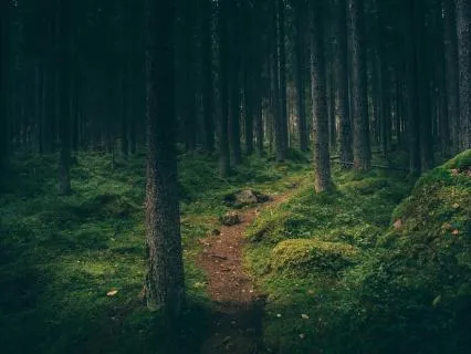 Meditation For Self-Retrieval
