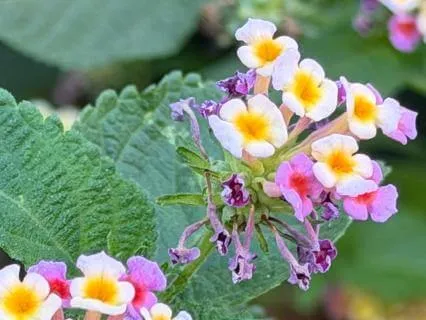 Meditation For Self Trust And Inner Strength