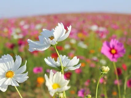 Meditation For Self-Acceptance And Stress Relief