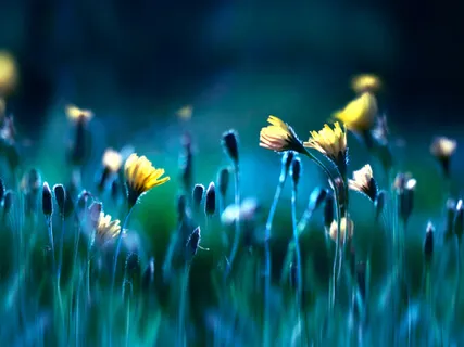 Meditation for selvhelbredelse