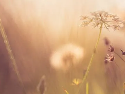 Awakening the Senses: Guided Meditation for Aphantasia