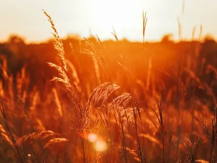 Meditation For Setting Intention