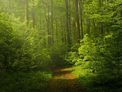 Meditation For Singing With Confidence & Authenticity