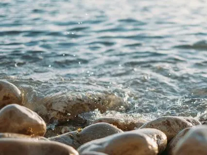 Meditation For Sitting With Discomfort And Distractions