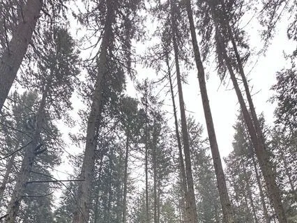 Meditation For Sitting With Emotions