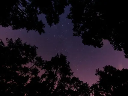 Undisturbed Deep Sleep 