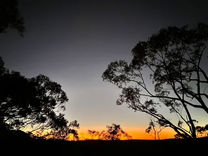 Tranquil Nights: Sleep & Stress Release