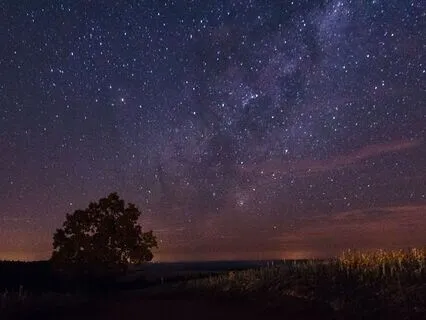 Meditation For Sleep: Deep Rest