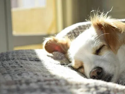 Meditation For Sleep