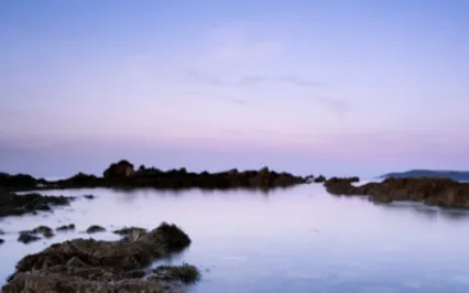 Meditation For Slowing Down And Letting Go