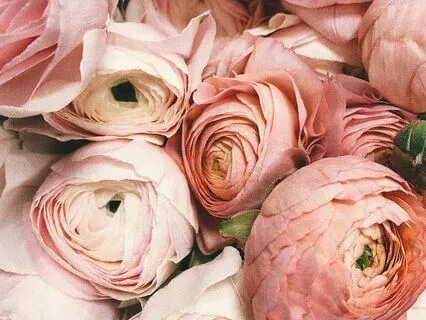 Meditation For Slowing Down