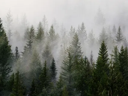 Slowing Down Your Thoughts 