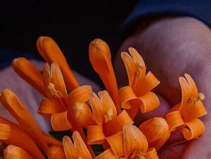 Meditation For Social Justice - Family Disruptions