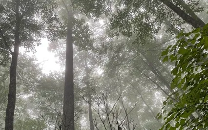 Meditation For Solutions