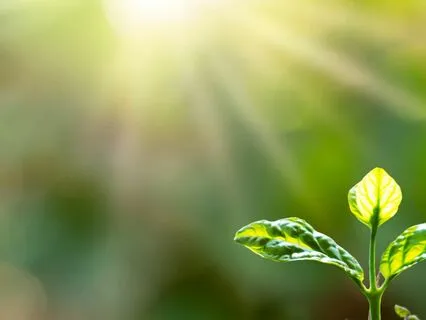 Meditation For Spring Renewal Filled With Kindness