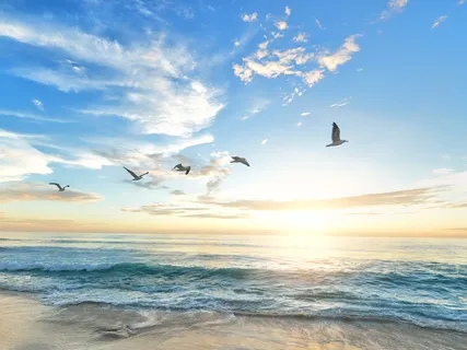 Practice For Starting Your Day In Bliss