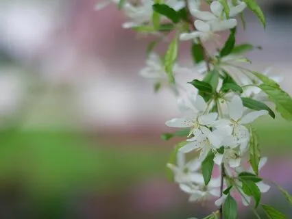 Meditation For Stepping Into The New Season Of Life