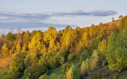 Meditation For Strength