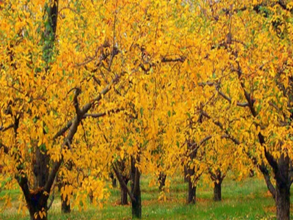 Meditation For Stress Reduction