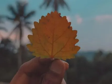 Meditation For Stress Reduction