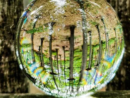 Meditation For Stress Relief And Animal Spirit Connection