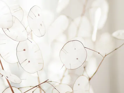 Meditation For Strong Emotions (MBSR) | 12"