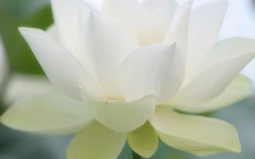 Meditation för stunder när du behöver men inte hinner...