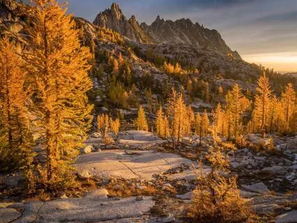 Meditation For Suffering